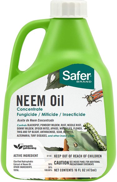 Safer 70% neem oil concentrate