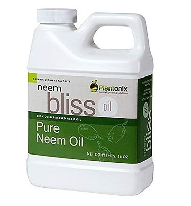 Bliss 100% neem oil concentrate