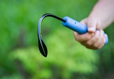 Anonymous person holding a Cobrahead Original Weeder & Cultivator Hand Tool in their hand. The handle is blue and the head of the tool is teardrop-shaped.