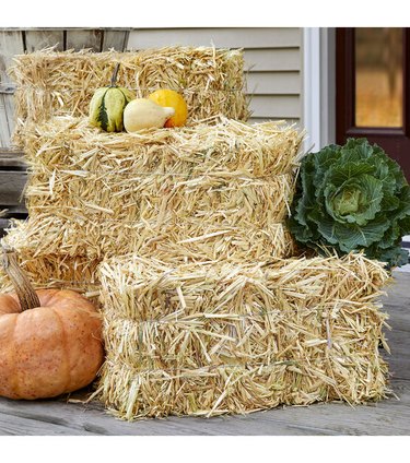 Three decorative straw bales from JOANN stacked on a front porch surrounded by pumpkins and cabbage.