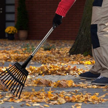 The Homimp adjustable rake can be adjusted to fit your size.