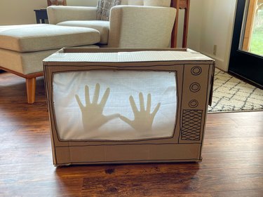 daytime Poltergeist Haunted TV