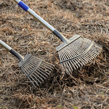 HOSKO 79-Inch Adjustable Leaf Rake