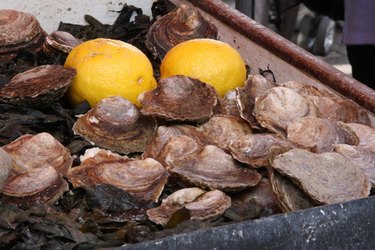 How to Steam Oysters | ehow