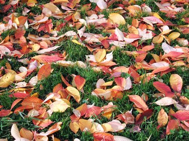 DIY Leaf Shredder | eHow