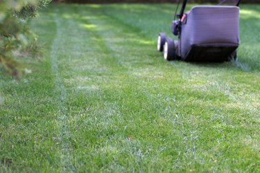 Snapper mower best sale deck replacement