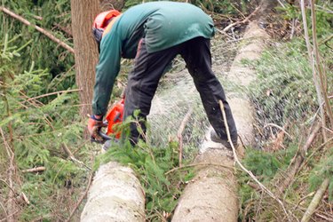 Poulan deals 2900 chainsaw