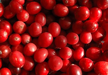 How To String Cranberries (DIY Cranberry Garland) - A Storied Style