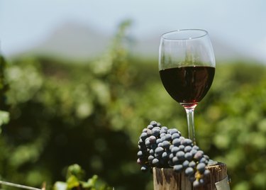 close-up of a glass of red wine with grapes in a vineyard