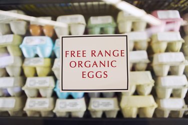 Organic eggs
