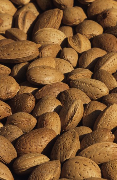 Almonds drying in sunshine, Cyprus, close-up