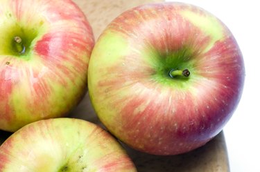 honeycrisp variety of apple