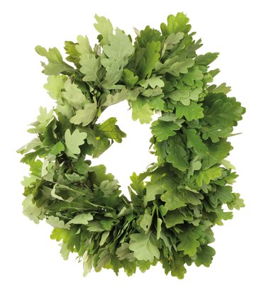 Oak wreath