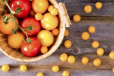 Fresh red and yellow tomatoes