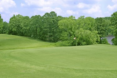 Golf course green