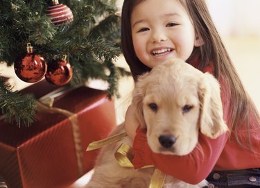 Young Girl Sits by a Christmas Tree Embracing a Puppy