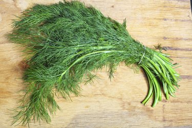 bunch fresh dill herb on wooden table