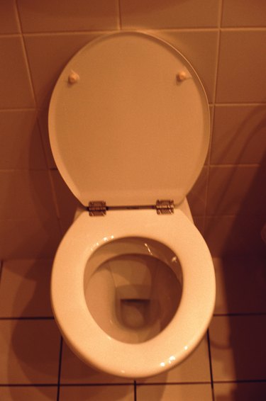 toilet