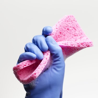 Close-up of hand in rubber glove holding a sponge
