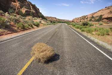 Desert highway with tumbleweed