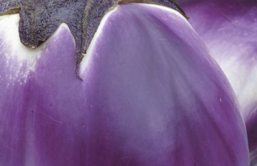 Close-up of eggplant