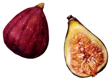 fruit contains a seed