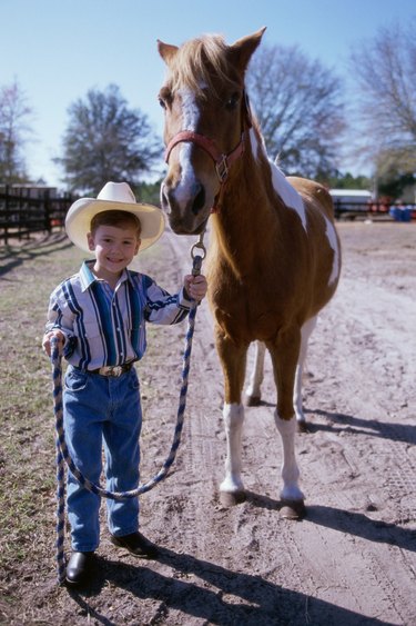 Portrait of a boy holding the reins of a horse