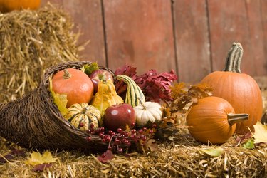 Cornucopia with winter squash and autumn leaves