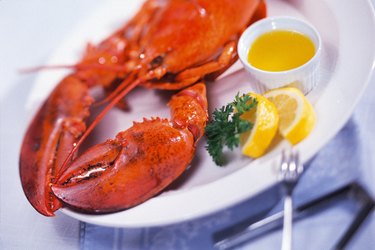 Lobster dinner plate