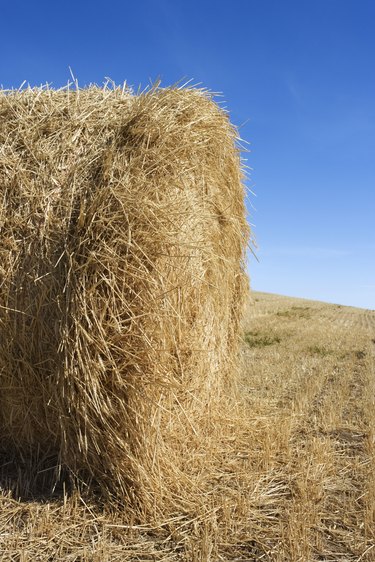 How to Make Very Small Hay or Straw Bales