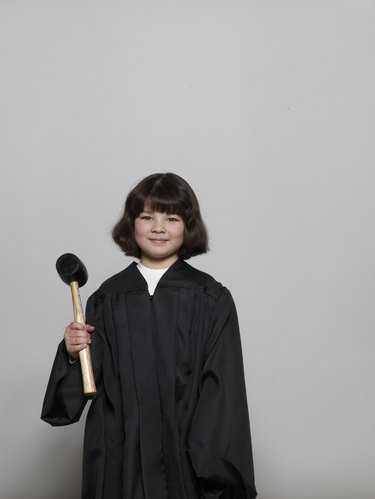 Court Judge Robe Adult Costume