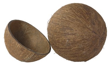 How to Make Cups From Coconut Shells