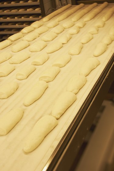 Rows of bread dough