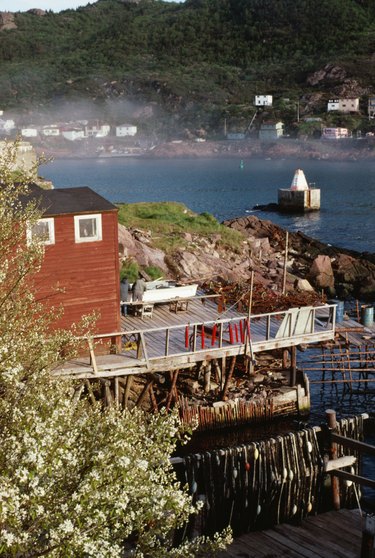 Houses on shore of St John, Newfoundland, Canada