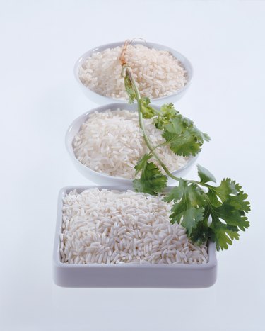 Rice plate and coriander on white background, close-up