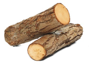 Cut logs of fire wood.