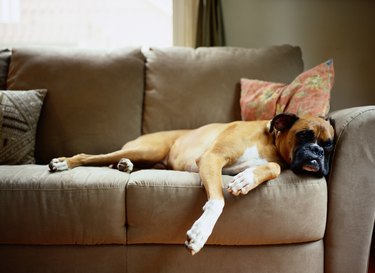 Covering shop couch cushions