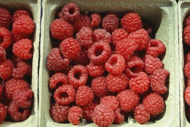 Raspberries in boxes, Chile, (Close-up)