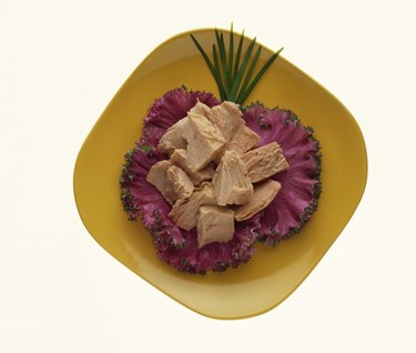 Canned tuna on savoy leaves