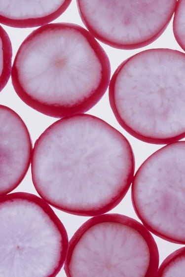 Slices of radishes