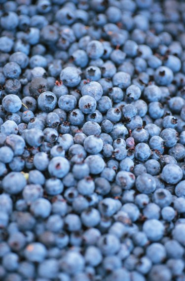 Blueberries