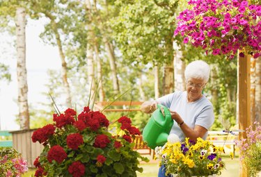 Watering flowers