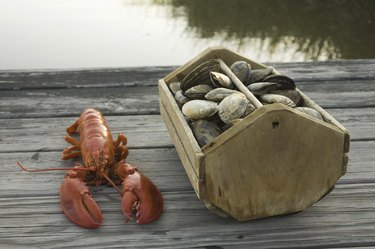 Lobster and crate of clams on dock