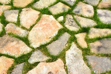 Stone path in green grass garden pattern elevated view on sunny day