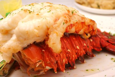 lobster tail