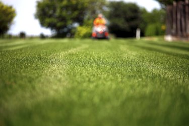 mowing the lawn 1