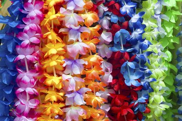 Colorful Hawaiian lei flowers