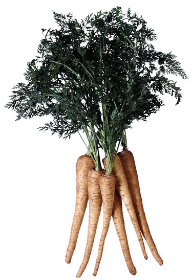 Parsnips