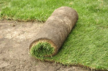 Unrolling Sod