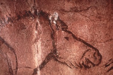 Prehistoric Cave Art Of Horse, France. 